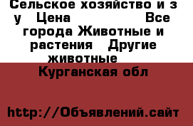 Сельское хозяйство и з/у › Цена ­ 2 500 000 - Все города Животные и растения » Другие животные   . Курганская обл.